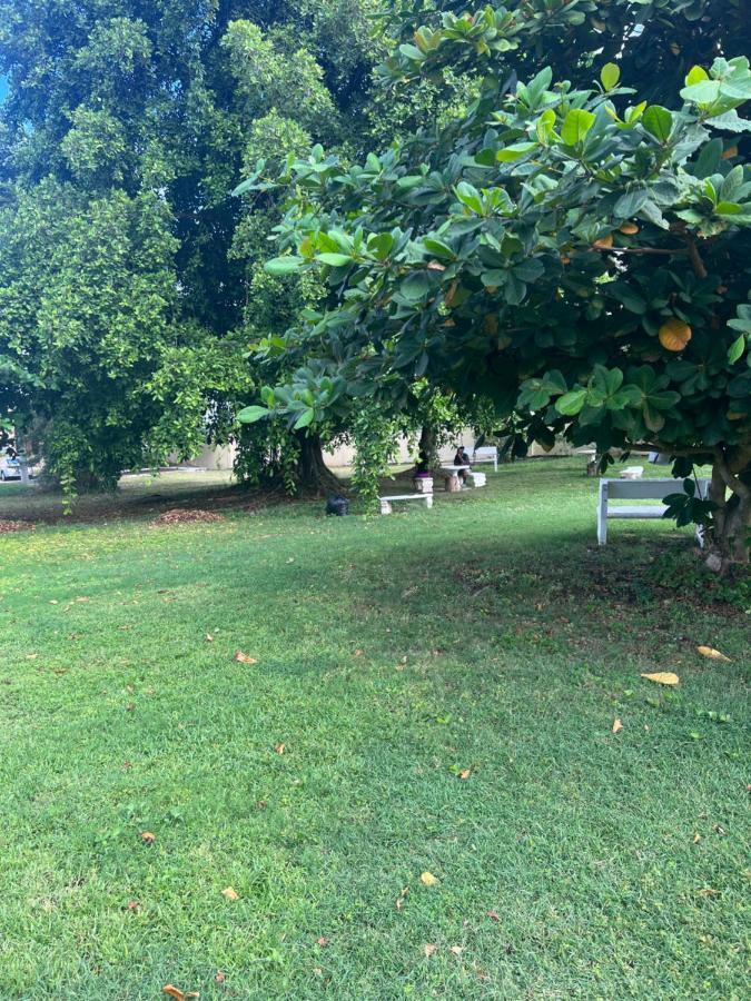 Comfort Rest Ocho Rios Luaran gambar